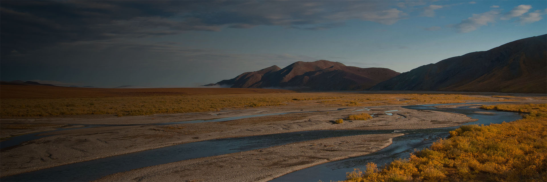 yukon river fishing trips