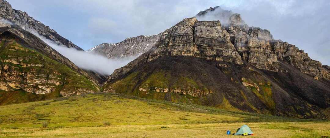 Fall colors on the tundra