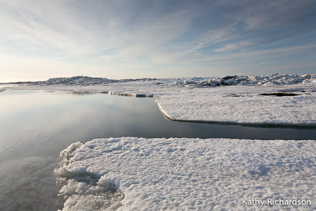 Arctic National Wildlife Refuge, Arctic Ocean Ice