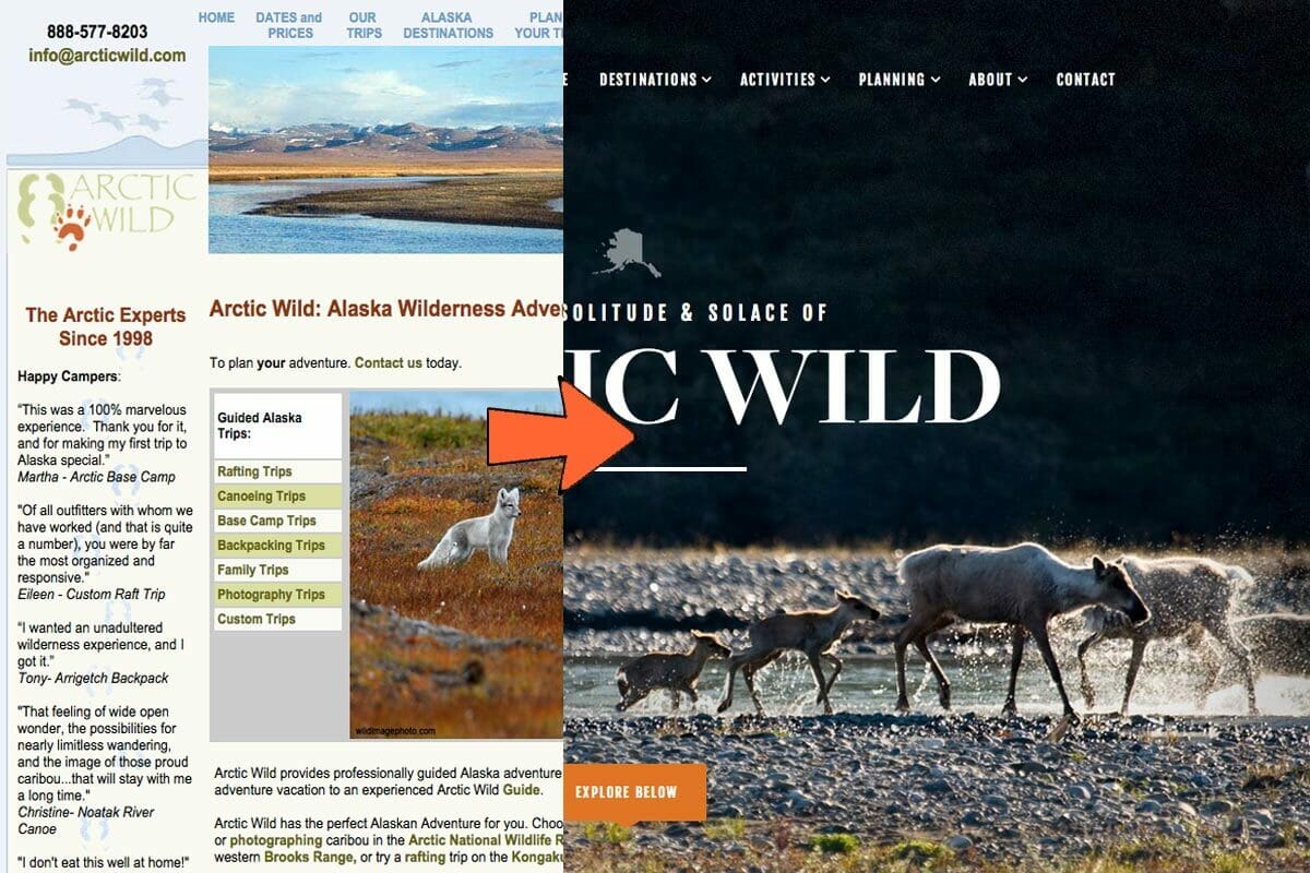 New Website for Arctic Wild