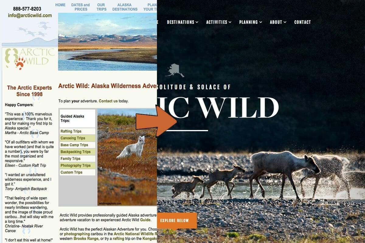 Arctic Wild New Website