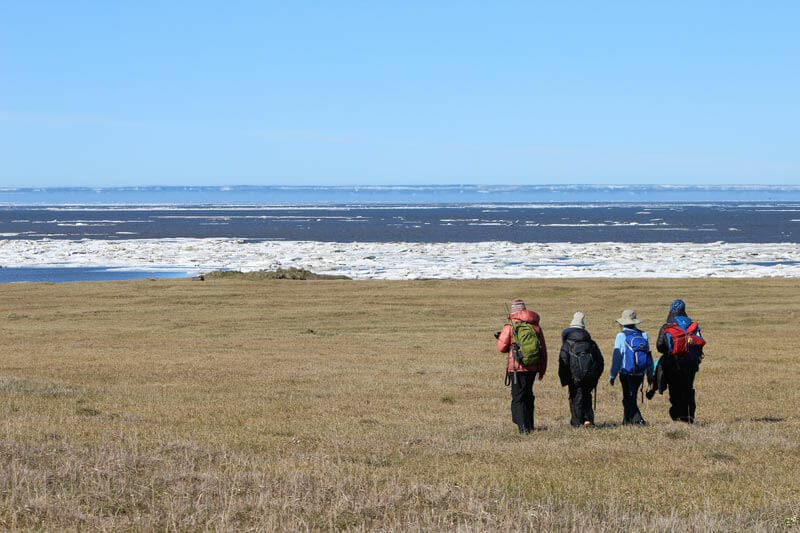 Family hikes on the Arctic Coast of Alaska on an Arctic Wild Base Camp Trip
