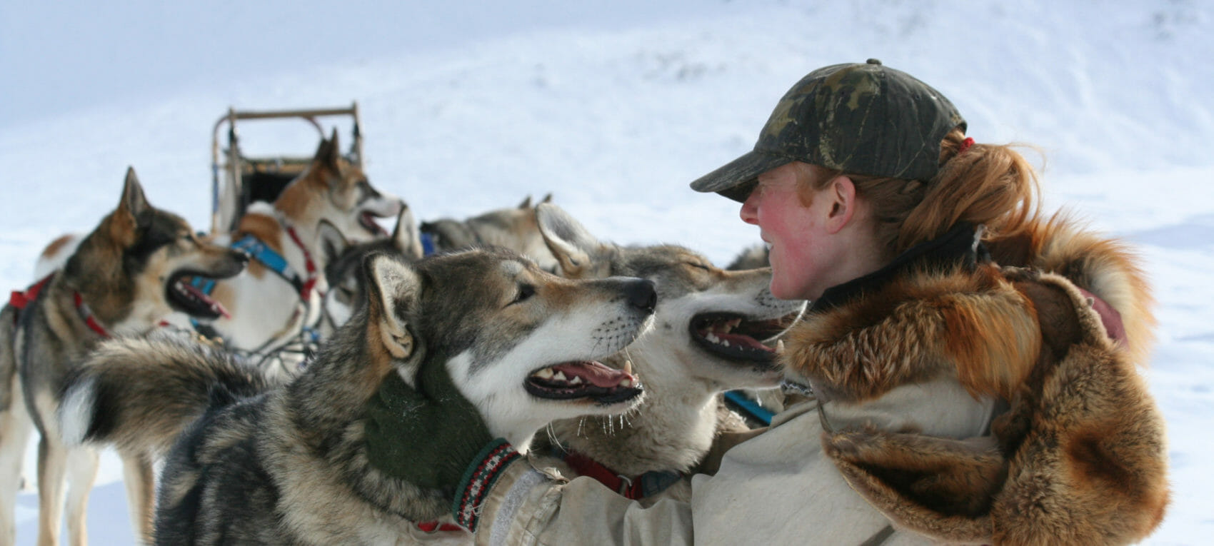 musher and dogs on dog sledding trip in Alaska