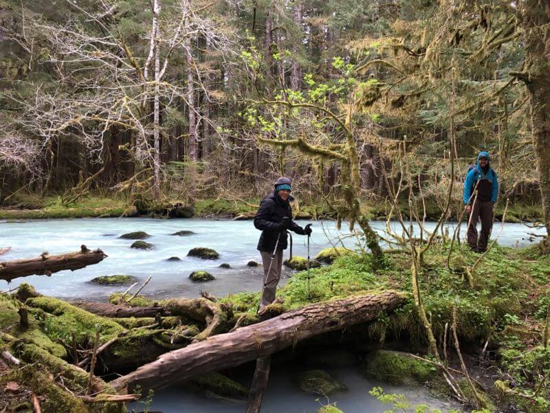 Hiking in the ancient forests of Glacier Bay National Park