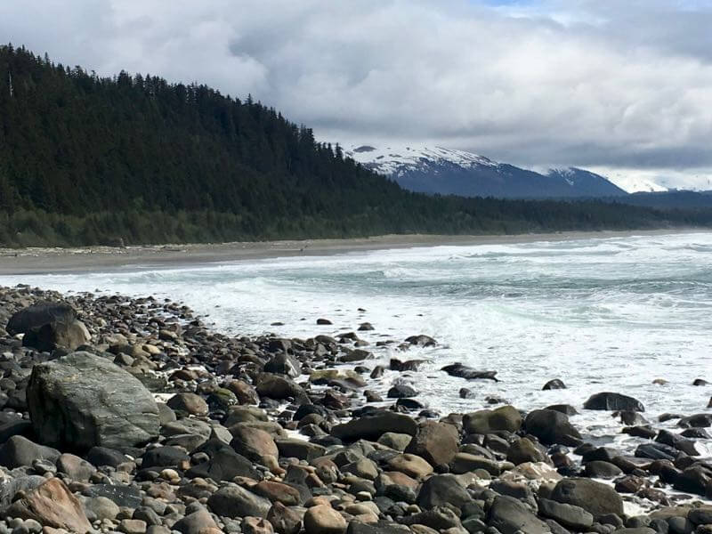 Glacier Bay's Pacific Coast