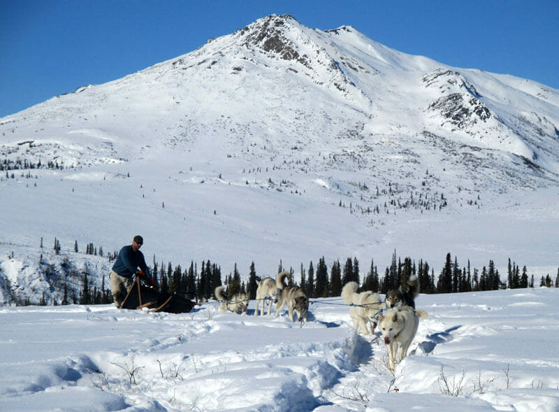 Mushing dogs on a dog sledding trip in Alaska