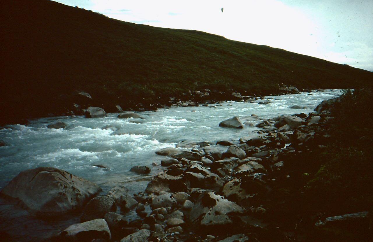 Jago Rapids