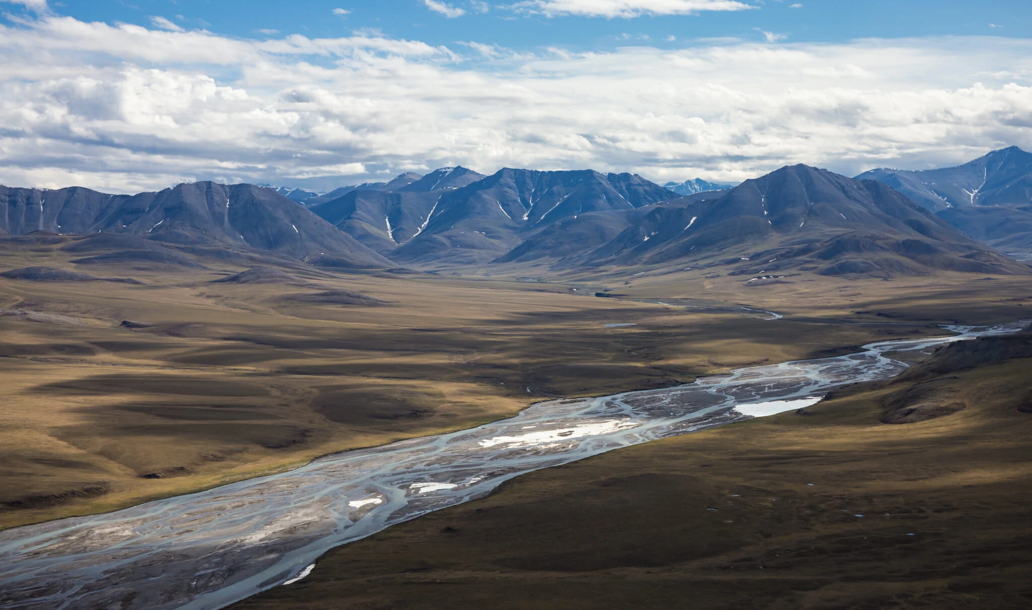 Brooks Range Alaska Jpg Arctic Wild   Brooks Range Alaska 28545074007 O 