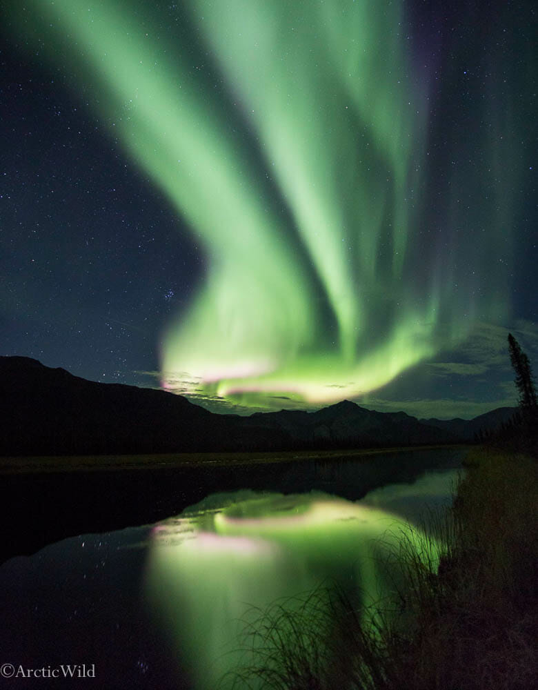 Aurora Borealis seen in Gates of the Arctic