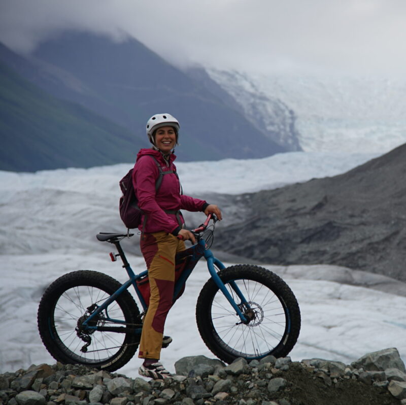 McKinley Wallace Arctic Wild Guide