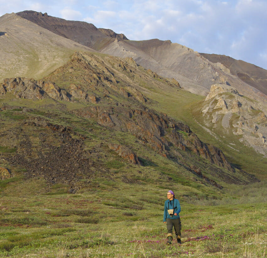 guide extraordinaire Cynthia Domaruk Merrow hiking in the Brooks Range, Alaska