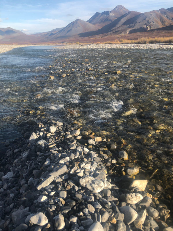 clear river in Alaska's Arctic