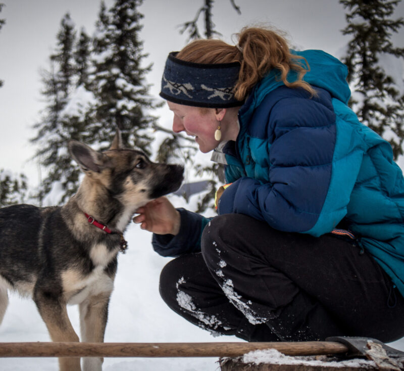 Arctic Wild guide in winter with sled dog puppy